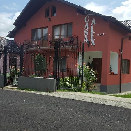 Vila Alex Hotell Călimăneşti Exteriör bild
