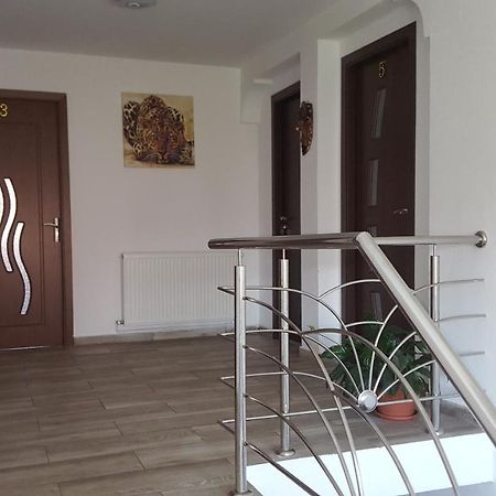 Vila Alex Hotell Călimăneşti Exteriör bild