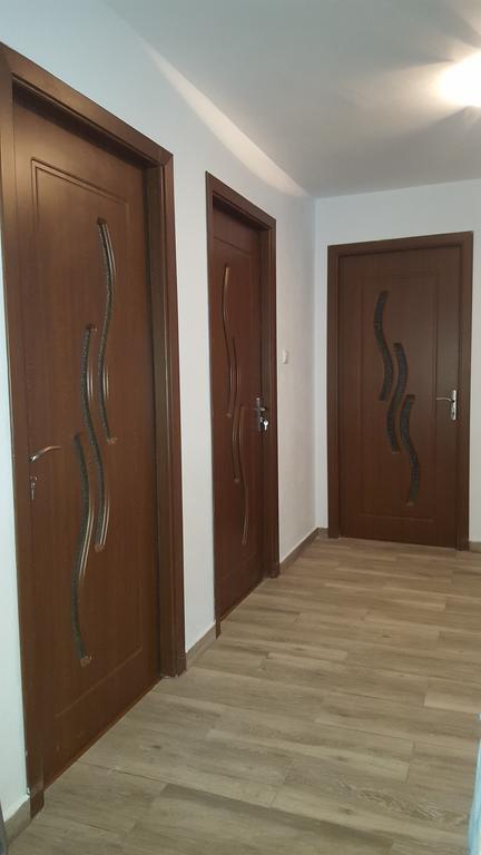 Vila Alex Hotell Călimăneşti Exteriör bild
