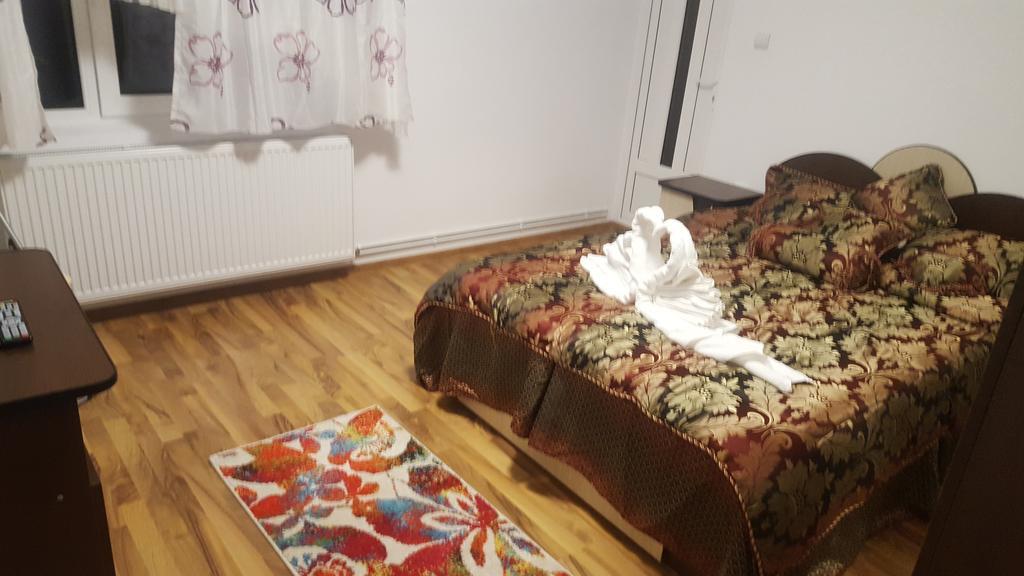 Vila Alex Hotell Călimăneşti Exteriör bild