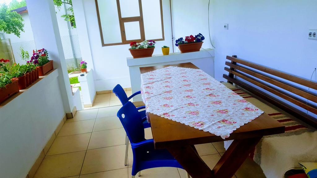 Vila Alex Hotell Călimăneşti Exteriör bild