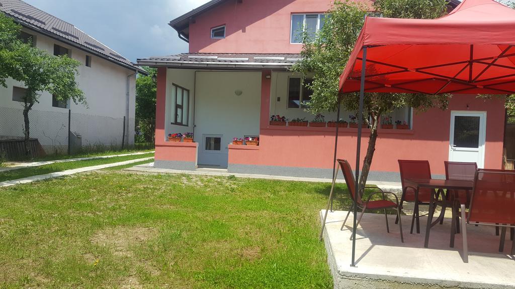 Vila Alex Hotell Călimăneşti Exteriör bild