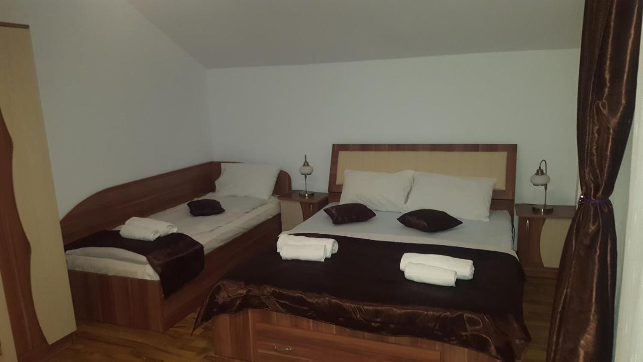Vila Alex Hotell Călimăneşti Exteriör bild